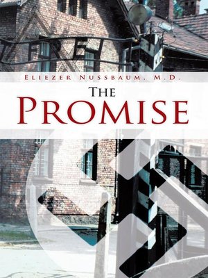 cover image of The Promise